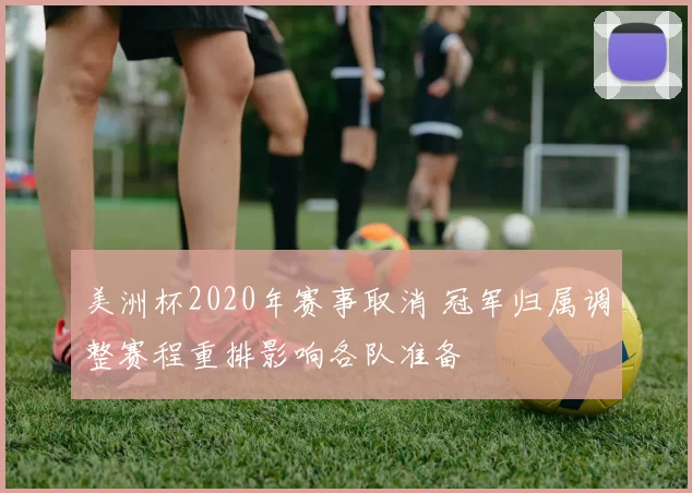 美洲杯2020年赛事取消 冠军归属调整赛程重排影响各队准备