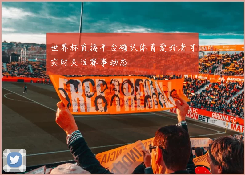 世界杯直播平台确认体育爱好者可实时关注赛事动态