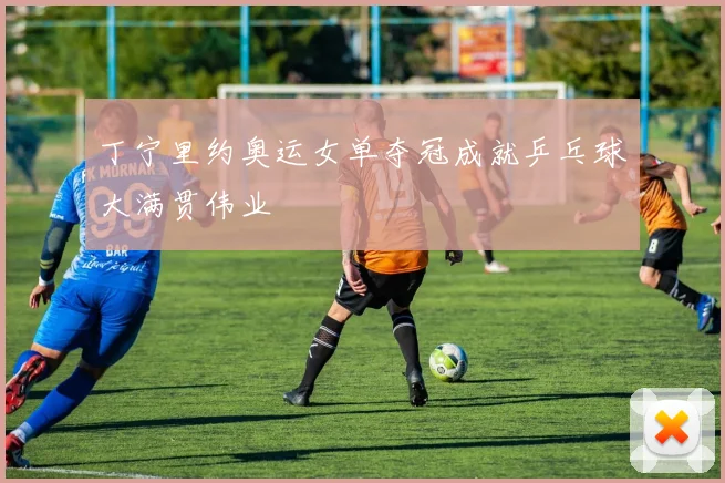 丁宁里约奥运女单夺冠成就乒乓球大满贯伟业