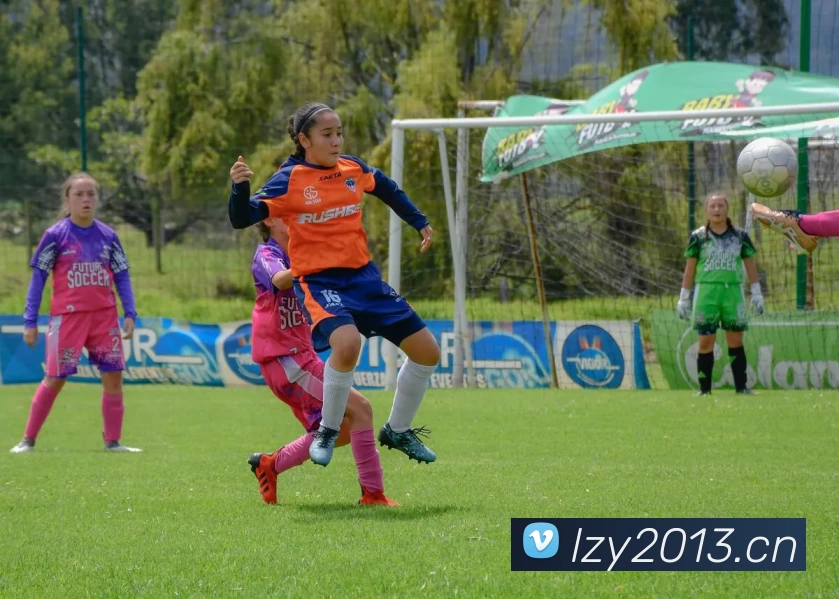 九游平台 - 九游(中国)一站式服务平台平台生态图